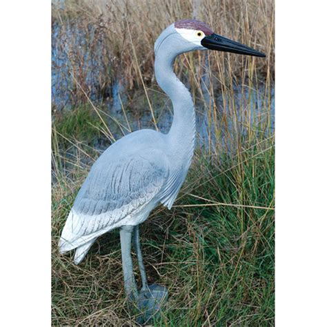 sandhill crane decoys cheap.